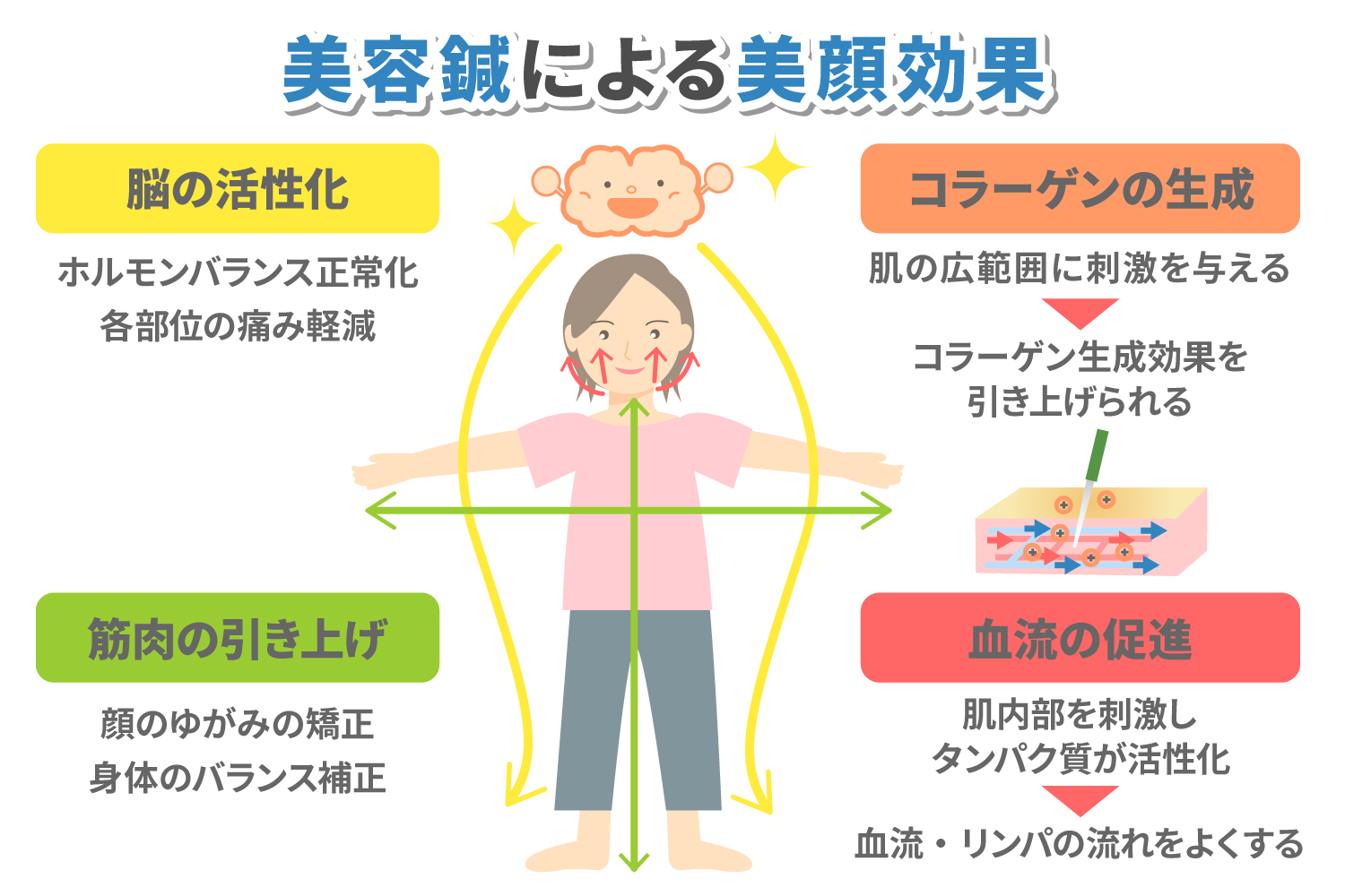 美容 鍼 頻度