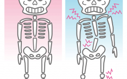 【骨盤矯正】腰が痛くなるのは骨盤が原因！？