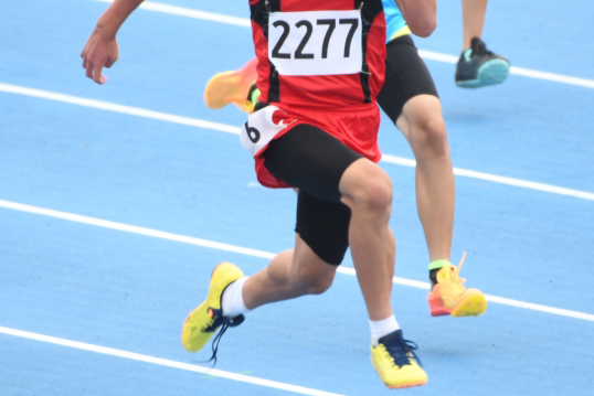 太ももの筋肉（大腿四頭筋）の硬さ