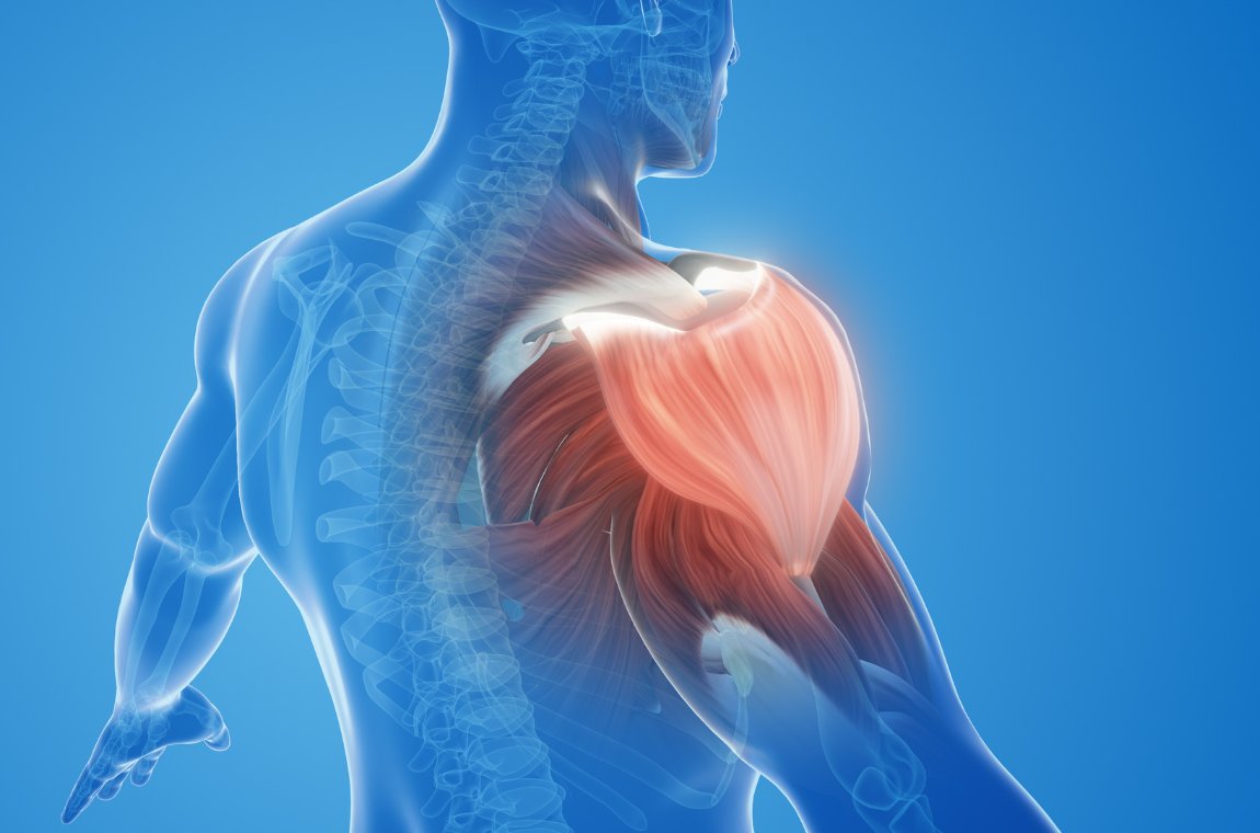 筋力や柔軟性のアンバランス